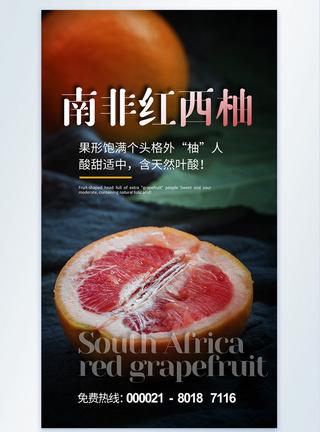 红心西柚水果摄影海报设计红西柚高清图片素材